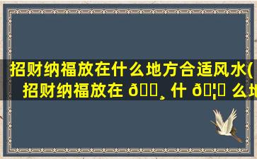 招财纳福放在什么地方合适风水(招财纳福放在 🕸 什 🦁 么地方合适风水好)